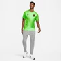 Nike Galatasaray 2022/23 Zöld Férfi Edzőmez, S-es méretben